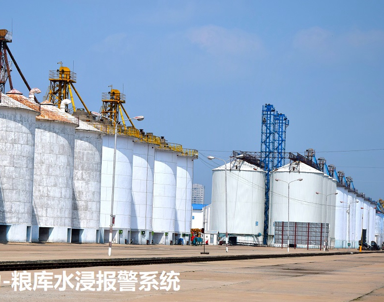 糧食儲備庫水浸漏水報(bào)警系統(tǒng)